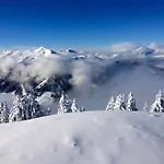 호텔 Alpenhotel Wildschoenau 3*