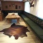 Alpenhotel Wildschoenau 호텔 3*
