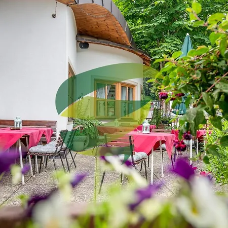 Alpenhotel Wildschoenau 3* 오버라우