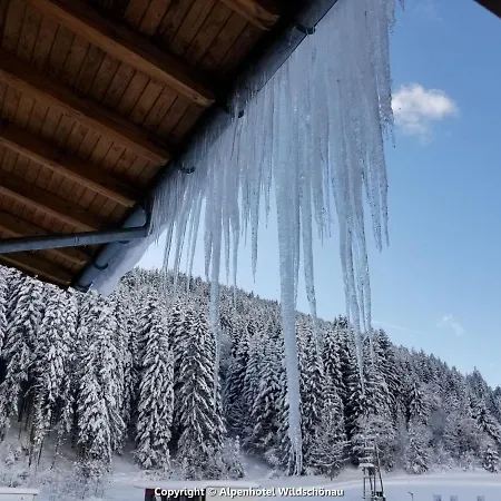Hotel Alpenhotel Wildschoenau Oberau