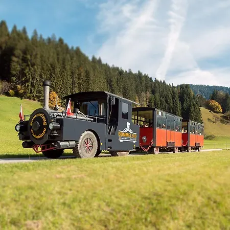 Alpenhotel Wildschoenau Oberau