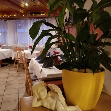 Hotel Alpenhotel Wildschoenau Oberau