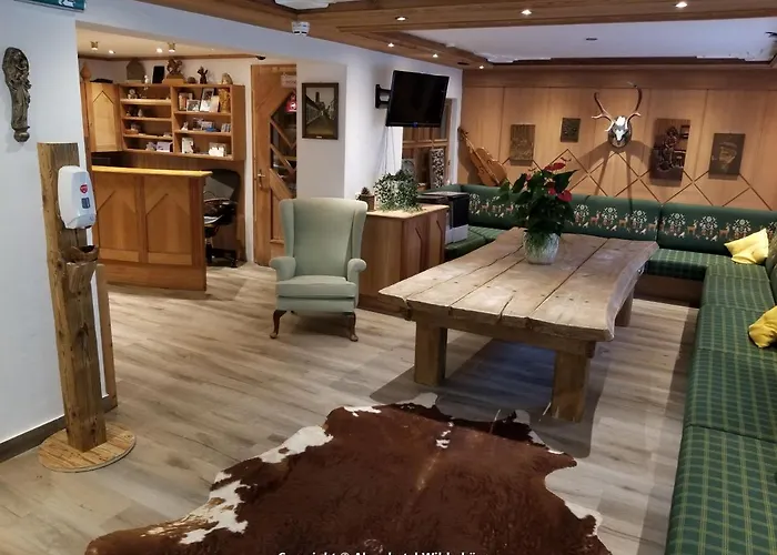 Hotel Alpenhotel Wildschoenau