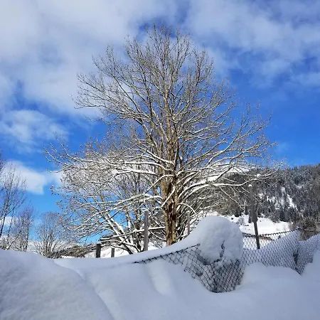 Alpenhotel Hotel Wildschoenau